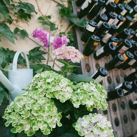 St Nikolai בית הארחה קדלינבורג